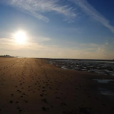 Modern Op De Zeedijk Met 2 Slaapkamers Te Oostende